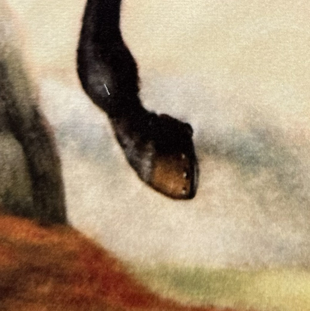 1650 Gullenlöv – Pillow Front