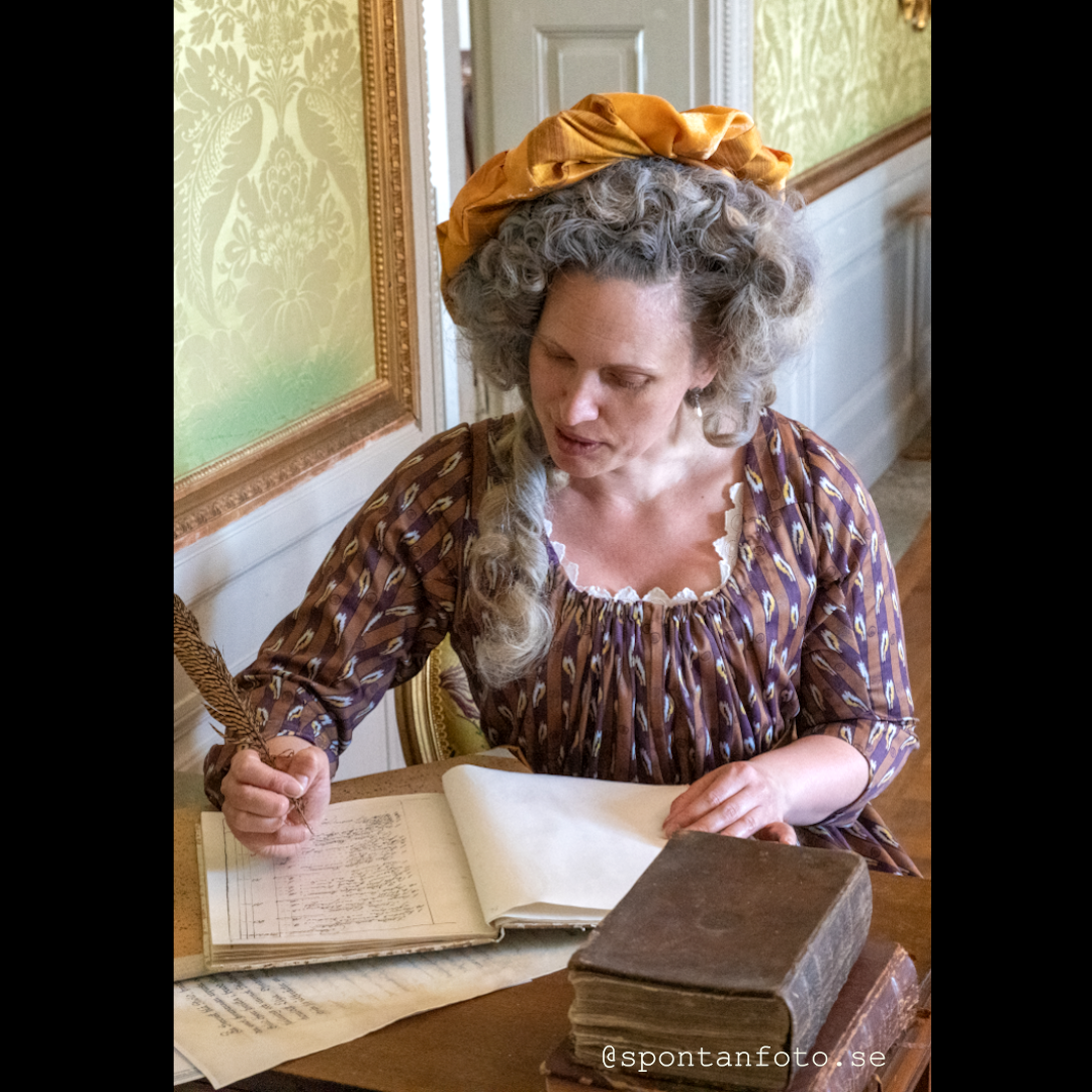 1820 Fredrika Bremer - 5 meters - Silk Satin