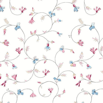 1798 Christina Krook