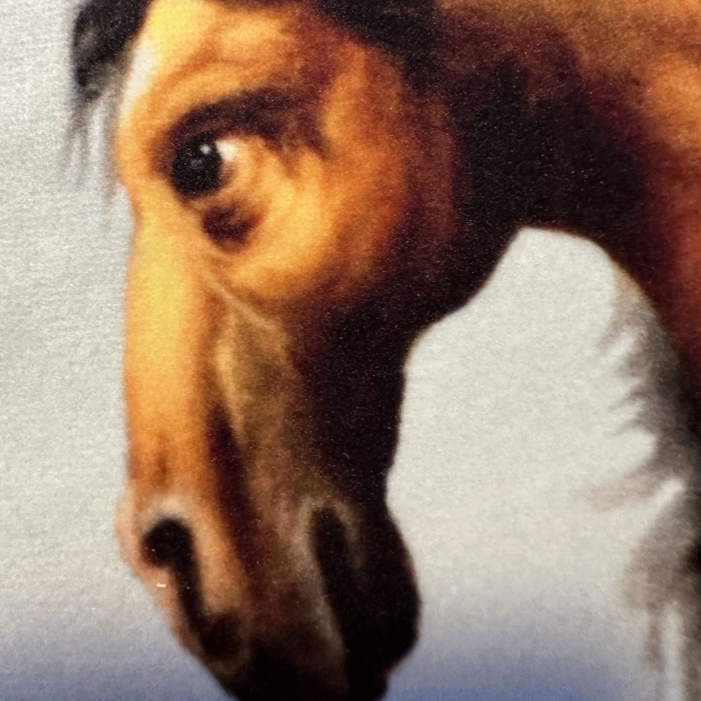 1650 Gullenlöv  – Pillow Front