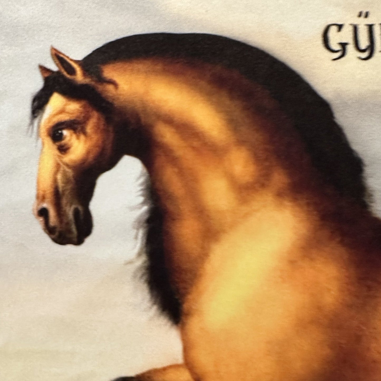 1650 Gullenlöv  – Pillow Front