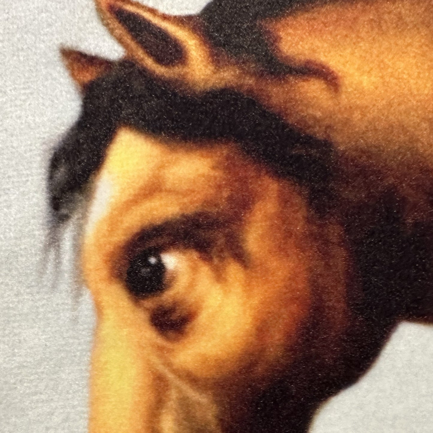 1650 Gullenlöv  – Pillow Front